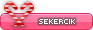 Sekercik